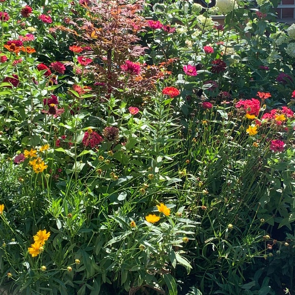 Meet your Posher, J - Picture 1 of 1